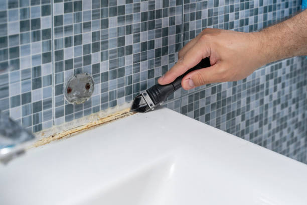 Reliable El Cenizo, TX Mold Remediation Solutions